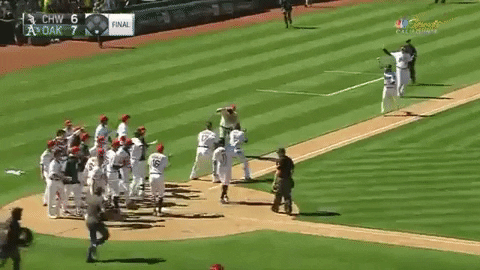 gseworldwide giphygifmaker celebration baseball mlb GIF