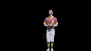 baseball GIF by CUCougars