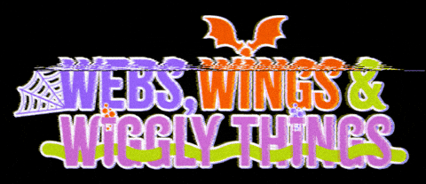 Calgary Science Centre GIF by Sparkscience