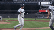 Celebrate Major League Baseball GIF by MLB