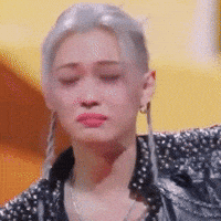 Cry Stray Kids GIF