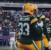 Green Bay Packers GIF