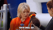 Animal Planet Pup Talk GIF by Puppy Bowl