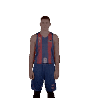Liga Endesa Basketball Sticker by ACB