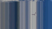canekzapatap  GIF