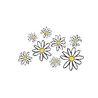 4our4seasons flower daisy gd bigbang Sticker