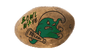College Football Sticker by GreenWave