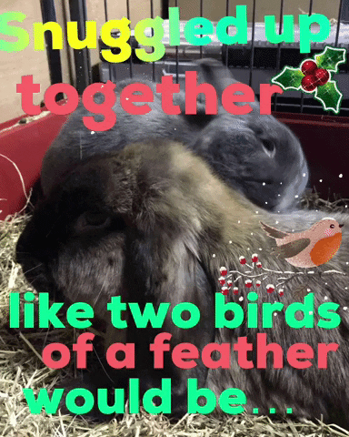 jendo963 giphyattribution together snuggled up would be GIF
