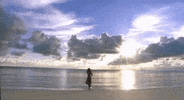 music video rock the boat mv GIF