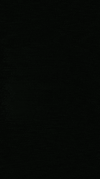 Rugby GIF by Stade Villeneuvois