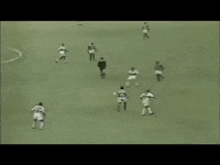 Palmeiras gol palmeiras palestra idolo GIF