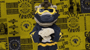 University Of Waterloo Wash Your Hands GIF by Waterloo Warriors