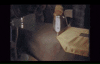 beyonce homecoming GIF by Vulture.com