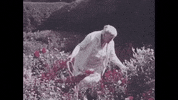 usnationalarchives flowers mothers day gardening mothers GIF