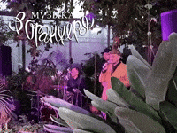 Concert Orangery GIF by Russian Music Seasons