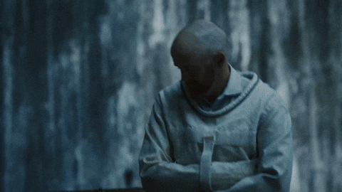 Music Video Phoenix GIF