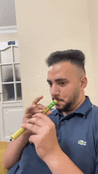 zaiddandis tameem zaidtameem musictameem GIF