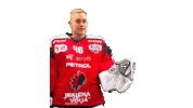 Sport Celebration Sticker by HDD SIJ Acroni Jesenice