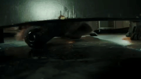 danger hyena GIF by Ice on Audience