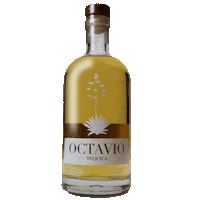 Octaviotequila octavio sipawards octaviotequila Sticker