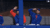 Baseball Wave GIF by New York Mets