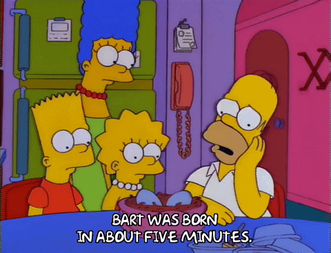 homer simpson episode 3 GIF