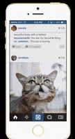 How To Share Gifs On Instagram GIF by How To Giphy