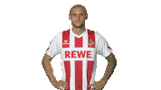 football soccer Sticker by 1. FC Köln