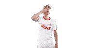 soccer celebration Sticker by 1. FC Köln