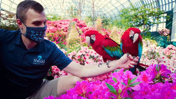 Animals From Chicago's Shedd Aquarium Visit Conservatory for Earth Day