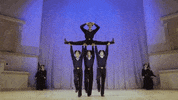 Dance Russia GIF by Jason Clarke