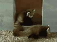 just love me awe GIF by WE tv