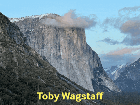 tobywagstaff giphygifmaker giphyattribution GIF