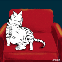 animation domination lol GIF