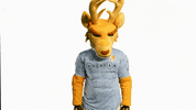 GIF by Venados FC