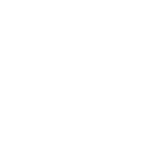 Summer くま Sticker