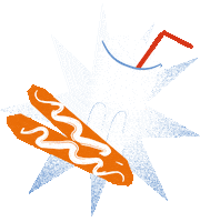 Estrella Fiestas Sticker by ayuntamientodemislata
