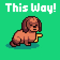 Come This Way GIF by Abstract HotDogs