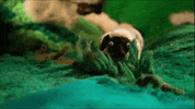 Stop Motion Art GIF by Duilio Gatti