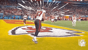 Super Bowl Football GIF by NFL