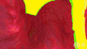 metal thrashtopia GIF by Alpha