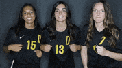 College Soccer GIF by University of Science & Arts