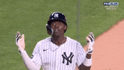 New York Yankees Baseball GIF by MLB