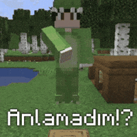 Treminko anlamadım treminko GIF