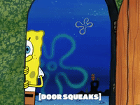 season 6 GIF by SpongeBob SquarePants