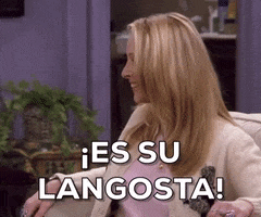 Spanish Phoebe GIF by Friends