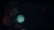 Lanterns Glow GIF by Oakland Zoo