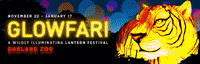 Lights Event GIF by Oakland Zoo