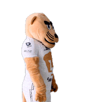 Soccer Sticker Sticker by Pumas MX