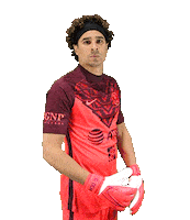 Football No Sticker by Club America